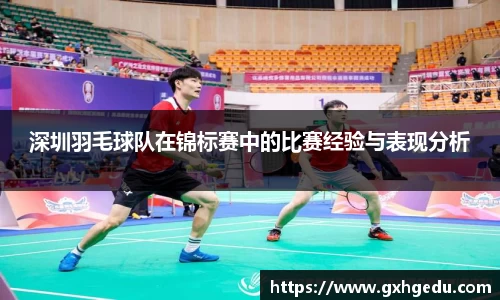 深圳羽毛球队在锦标赛中的比赛经验与表现分析