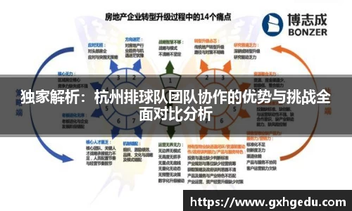 独家解析：杭州排球队团队协作的优势与挑战全面对比分析