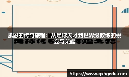 芒果体育